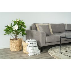 Passo kurve runde, st af 2