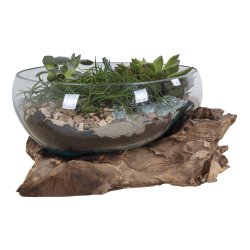 San Marino Waterdrop - Sk�l