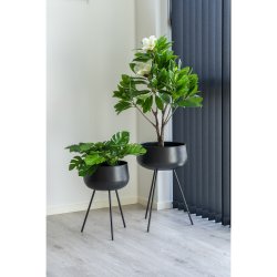 Ardola Blomsterstandere